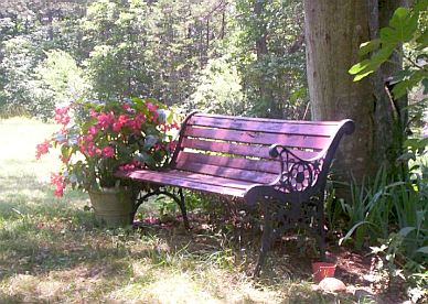 Bench, summer 2005