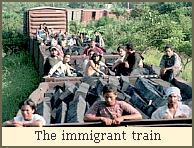 The immigrant train