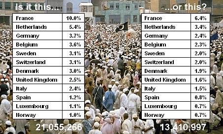 Muslim population statistics