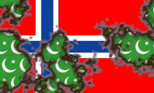 The Flag of the Norwegian Ummah