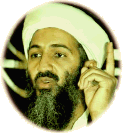Osama bin Barmy