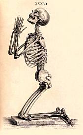 Skeleton praying
