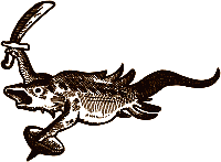 A sword fish