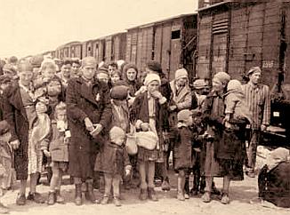 New arrivals at Auschwitz