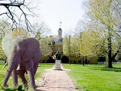 The elephant at the College of William and Mary